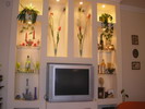 Bels� kialak�t�s